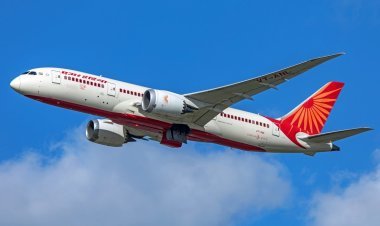 Air India: After the plane's fire scared some of the passengers so much that they started crying, they talked about their experiences