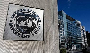 Important progress being made in talks with Pakistan for extended fund facility, IMF informed