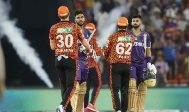 Know which team will win the IPL 2024 title, Matthew Hayden predicted