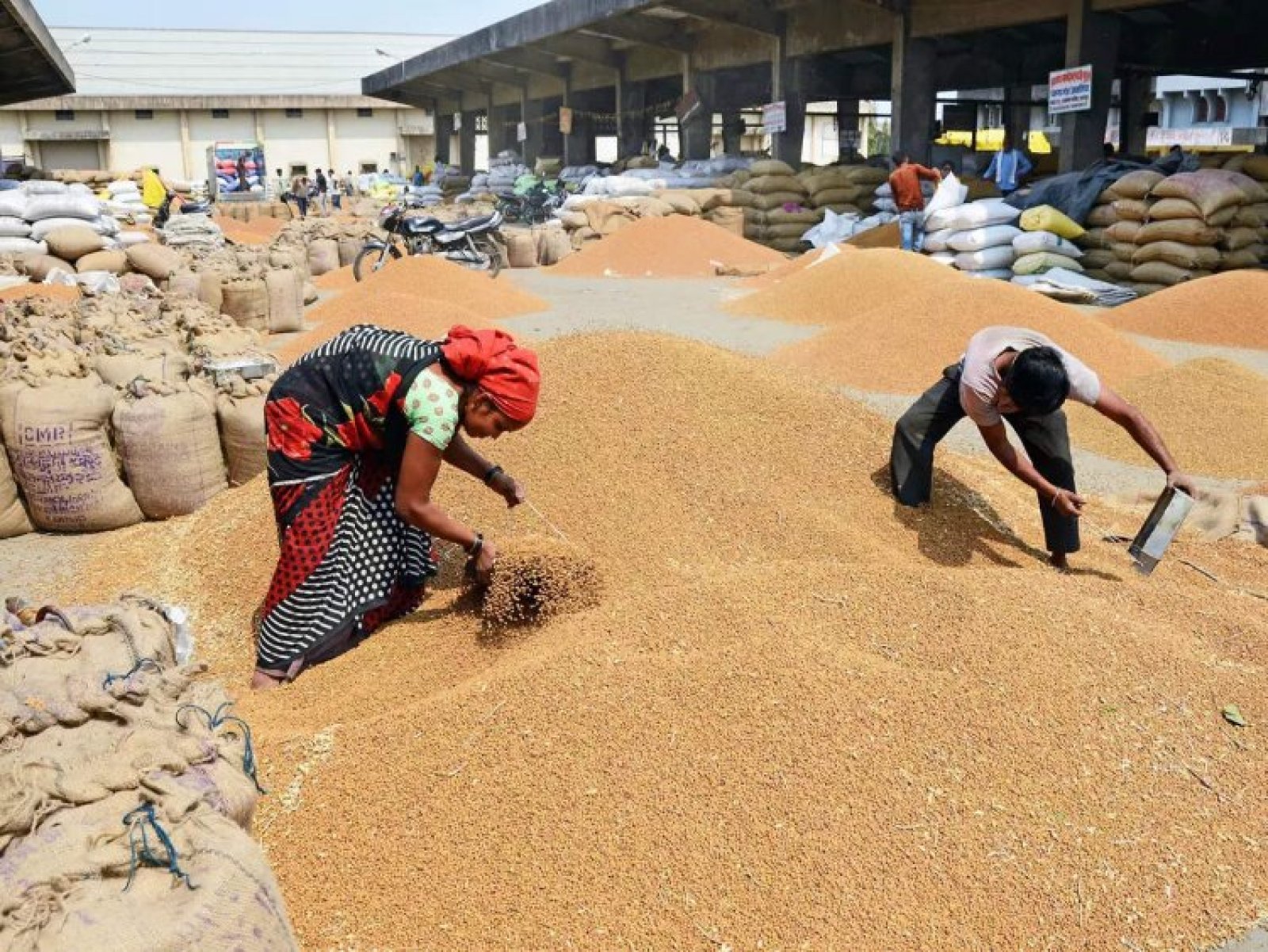 Government has fixed the maximum limit of wheat storage to restrict hoarding and maintain price stability