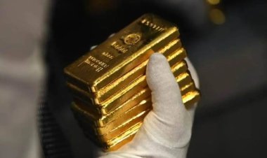 Last year, DRI seized banned materials worth Rs 3500 crore, detected 623 cases of smuggling