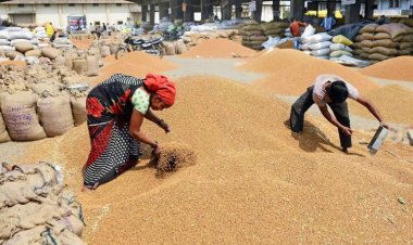 Government has fixed the maximum limit of wheat storage to restrict hoarding and maintain price stability