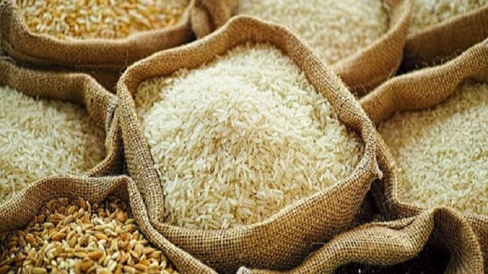 2 lakh tonnes of non-basmati white rice may be exported by India to Malaysia, this is the reason
