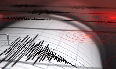 Earthquake tremors felt in Soreng of Sikkim this morning, intensity was 4.4 on Richter scale