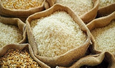 2 lakh tonnes of non-basmati white rice may be exported by India to Malaysia, this is the reason