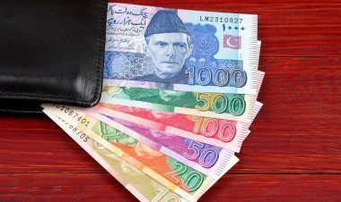 Pakistan will have new notes made of polymer plastic, central bank governor tells Senate committee