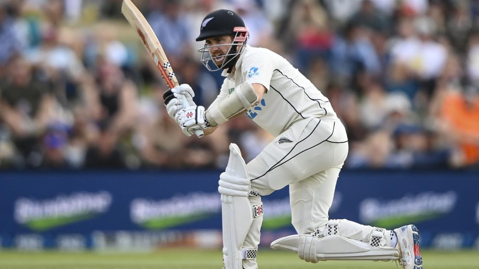 BCCI's huge humiliation, pitch had to be dug during Afghanistan-New Zealand Test, uproar ensued