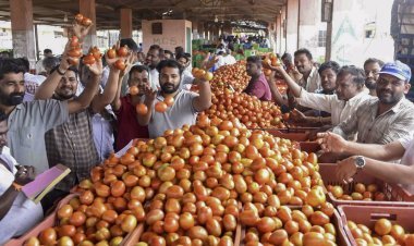 Wholesale inflation falls for the second consecutive month, but vegetable prices are raising concerns
