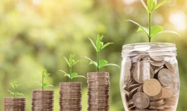 Government will issue 'Sovereign Green Bond', plans to raise ₹20000 crore in the current financial year