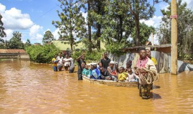 Floods wreaked havoc in Mali, 177 people died